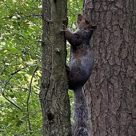 River Vista Retreat - Luxury Duplex - Views - Parking - Cycle Storage - Access Option *